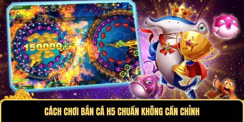 Hướng dẫn săn cá chuẩn không cần chỉnh