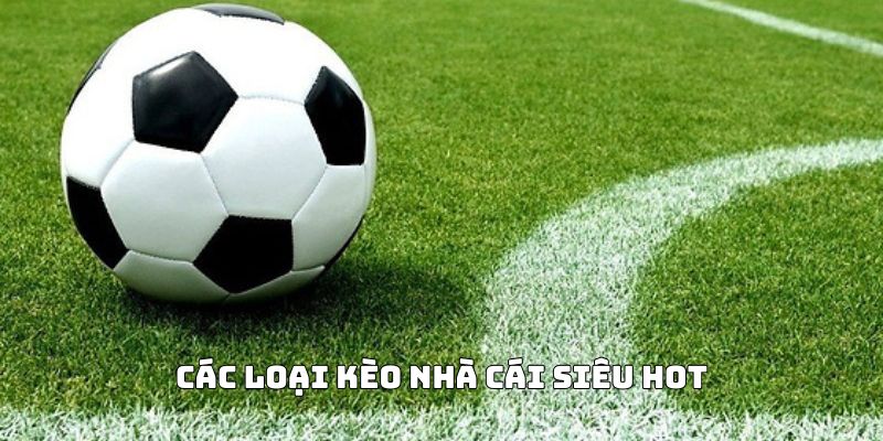 Kèo nhà cái là gì? Kiến thức cơ bản về các hình thức cá cược