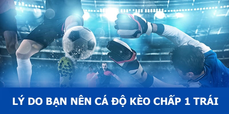 Lý do bạn nên trải nghiệm cá độ kèo cược chấp 1 trái