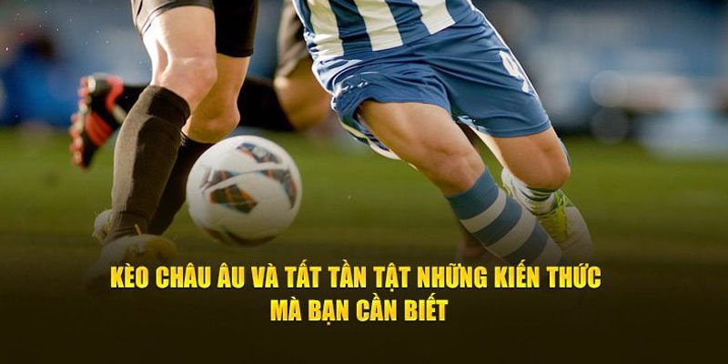 Quy định dự đoán 1x2 dễ hiểu dành cho thành viên mới