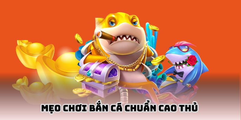 Bí kíp săn cá từ cao thủ hàng đầu