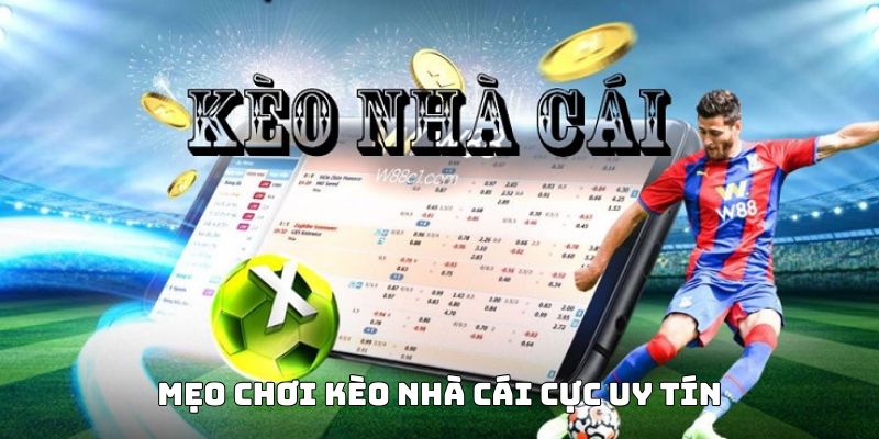 Mẹo chơi kèo nhà cái siêu hiệu quả từ chuyên gia