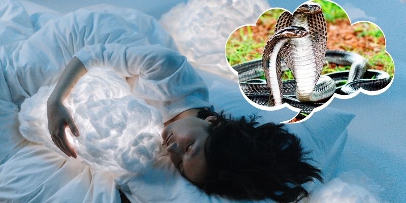 Trường hợp chủ mộng bị sinh vật cắn nhưng không chảy máu 