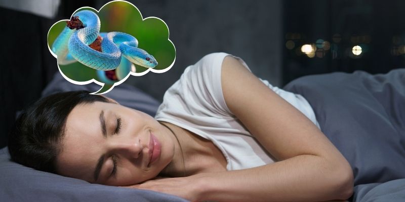 Tình huống gặp loài màu xanh mang đến những thách thức trong cuộc sống