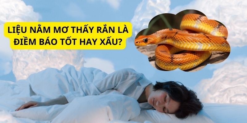 Giải mã mộng thấy rắn theo phong thủy