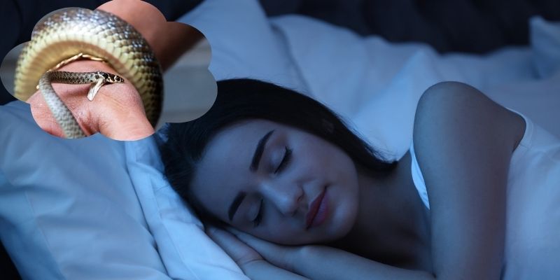 Nằm mơ thấy rắn trườn trên cơ thể của bạn