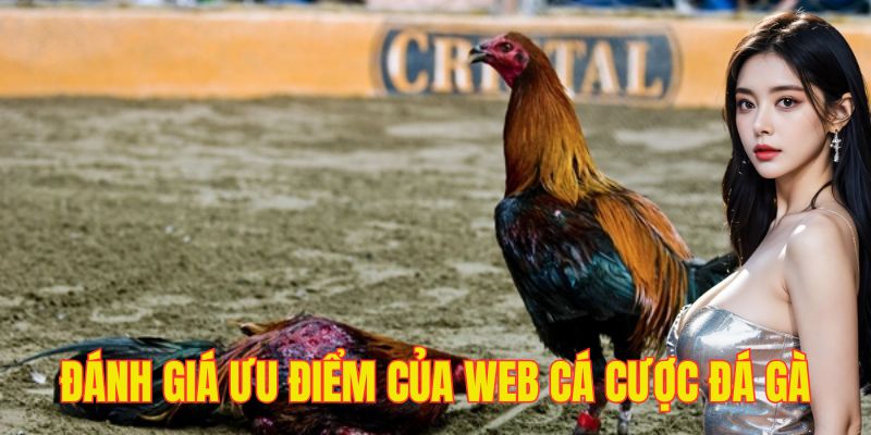 Những điểm nhấn nổi bật tạo nên sức hút web đá gà