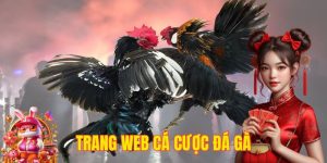 trang web cá cược đá gà