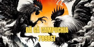 trường gà campuchia